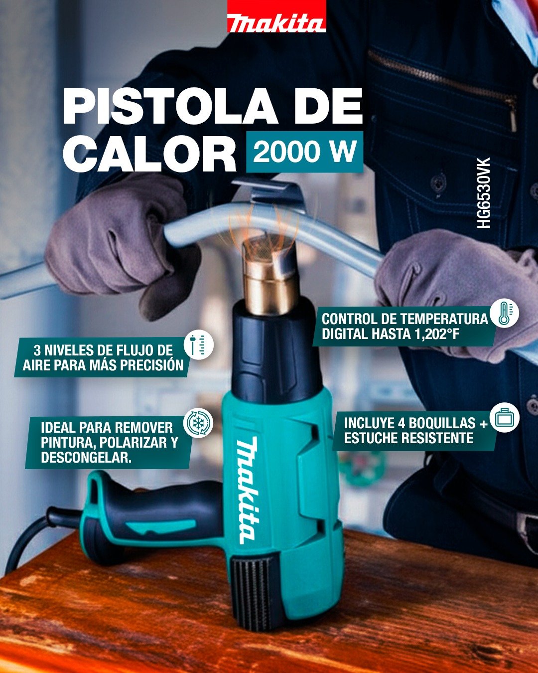Diseño 6